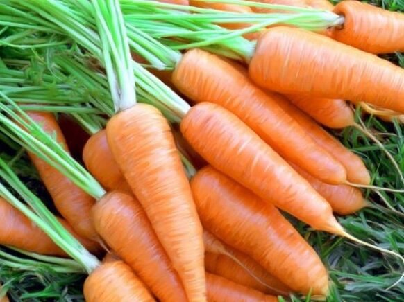 carrot oil and carrots for skin rejuvenation